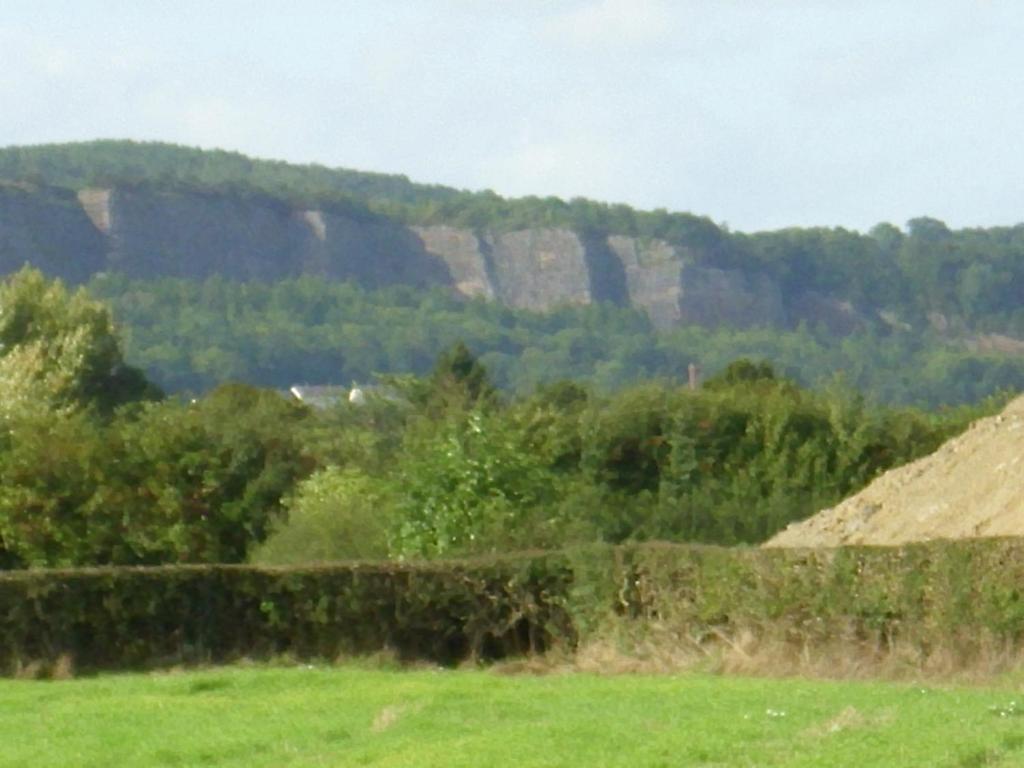 Ty Llew Llandysilio Quarto foto